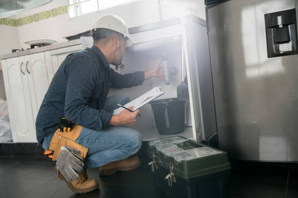 Best Local Plumber Services  in Celebration, FL