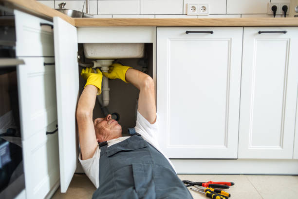  Celebration, FL Plumbing Pros