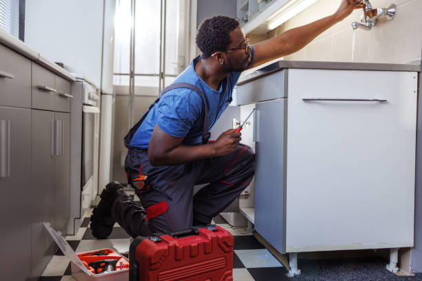 Best Water Softener Installation  in Celebration, FL